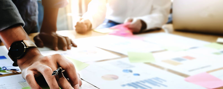 PROJECT MANAGEMENT AND CAPACITY BUILDING