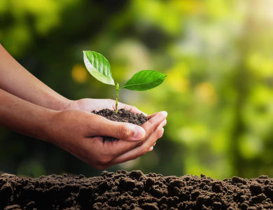 ENVIRONMENTAL MANAGEMENT