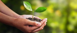 ENVIRONMENTAL MANAGEMENT